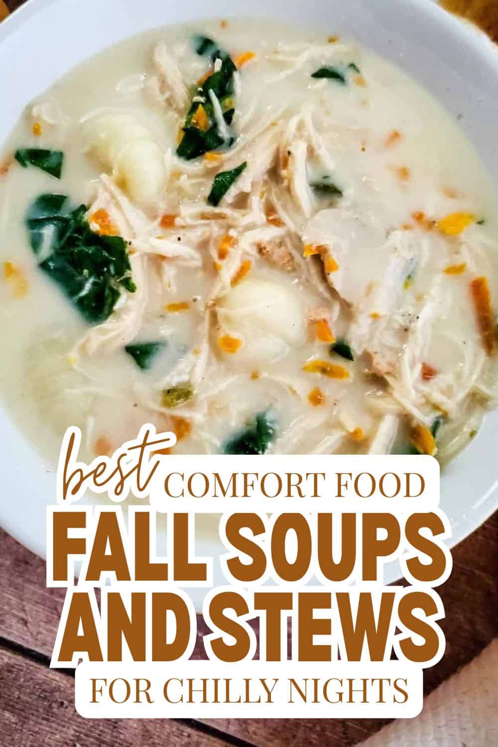 Warm bowl of fall soups and stews with vegetables and shredded chicken.